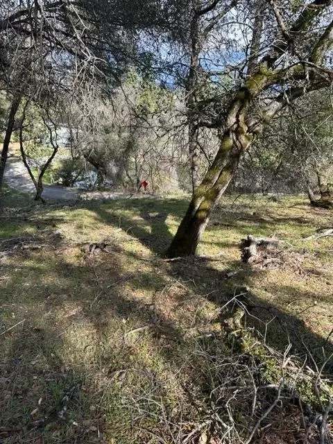 6294 Arch Ln, Placerville, CA 95667 photo 3