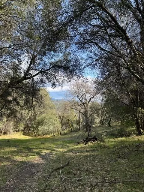 6294 Arch Ln, Placerville, CA 95667 photo 6