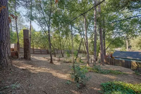 15009 Cedar Trl, River Pines, CA 95675 photo 46