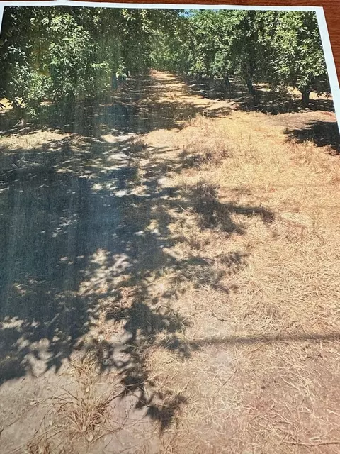 2237 S Tegner Rd, Turlock, CA 95380 photo 1