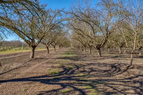 5942 Roeding Rd, Hughson, CA 95326 photo 28