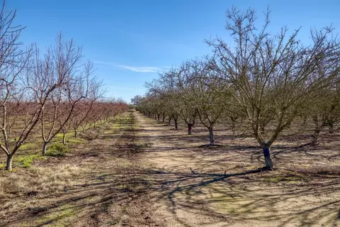 5942 Roeding Rd, Hughson, CA 95326 photo 37