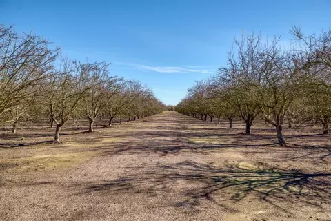 5942 Roeding Rd, Hughson, CA 95326 photo 36