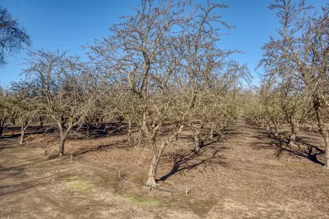 5942 Roeding Rd, Hughson, CA 95326 photo 25