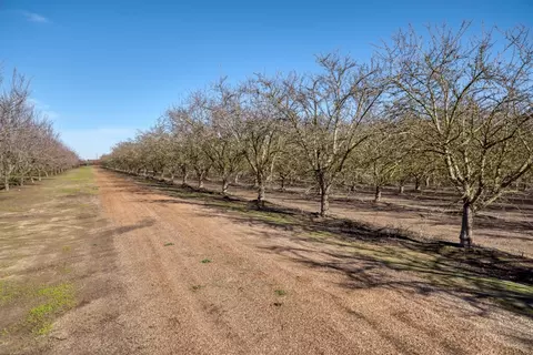 5942 Roeding Rd, Hughson, CA 95326 photo 35