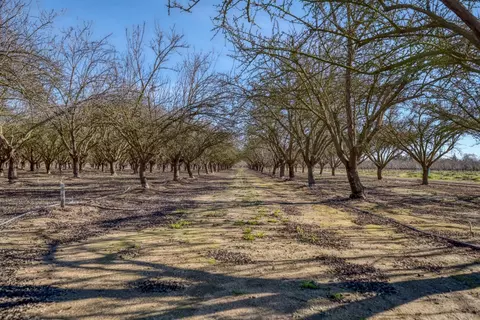 5942 Roeding Rd, Hughson, CA 95326 photo 31