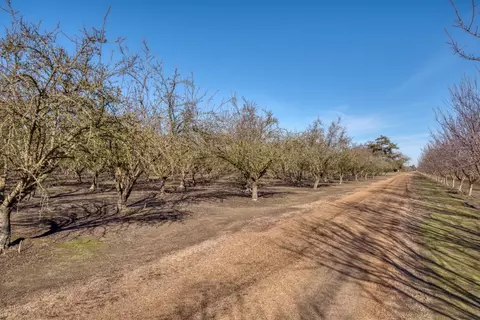 5942 Roeding Rd, Hughson, CA 95326 photo 27