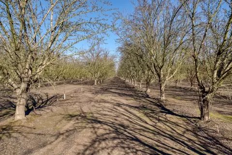 5942 Roeding Rd, Hughson, CA 95326 photo 34