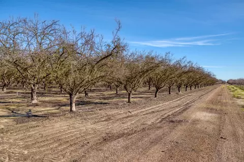 5942 Roeding Rd, Hughson, CA 95326 photo 29