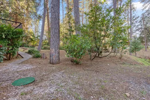 Exterior - 442 Pine St, Grass Valley, CA 95945 photo 20 of 31