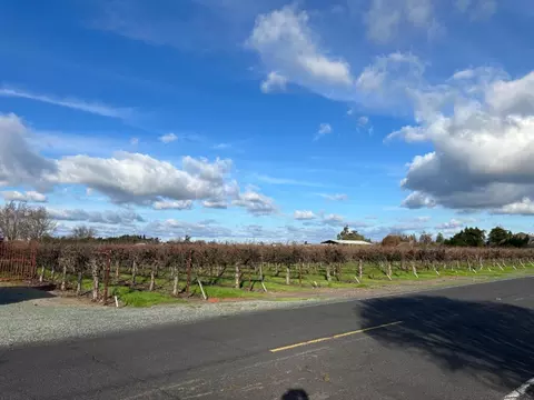 6671 Realty Rd, Lodi, CA 95240 photo 3