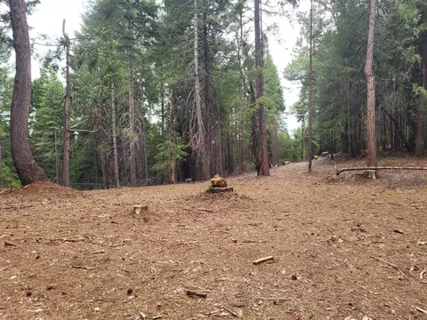 14236 Banner Mtn Lookout Rd, Nevada City, CA 95959