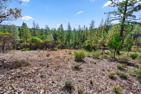 10050 Sun Shadow, Nevada City, CA 95959