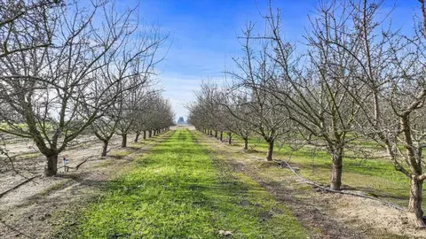 6477 E Veritas Rd, Manteca, CA 95337 photo 48