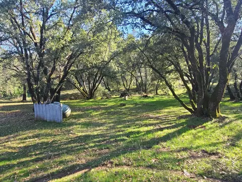 Exterior - 5161 Oak Hill Rd, Placerville, CA 95667 photo 19 of 25