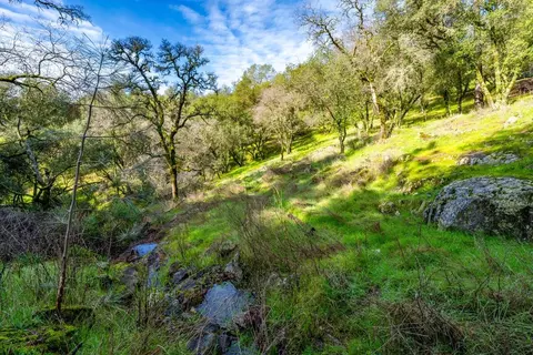 View/Area - 269 Pine Tree Cir, Pilot Hill, CA 95664 photo 19 of 20