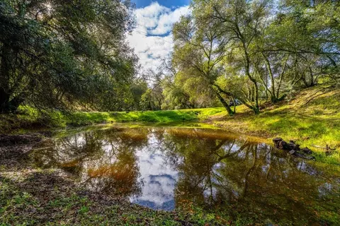 View/Area - 269 Pine Tree Cir, Pilot Hill, CA 95664 photo 20 of 20