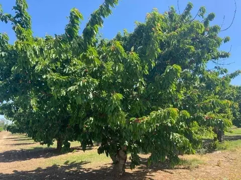 17980 E Milton Rd, Linden, CA 95236 photo 3
