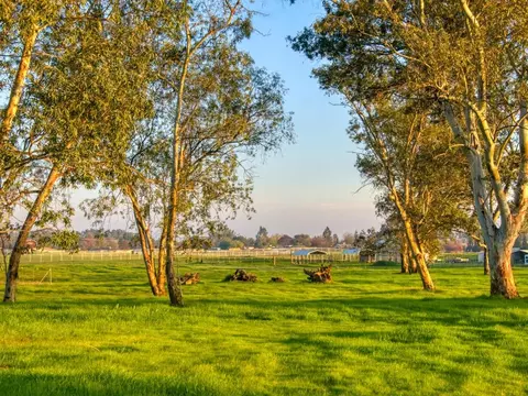 7752 Elwyn Ave, Elverta, CA 95626 photo 5