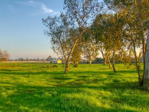 7752 Elwyn Ave, Elverta, CA 95626 photo 9