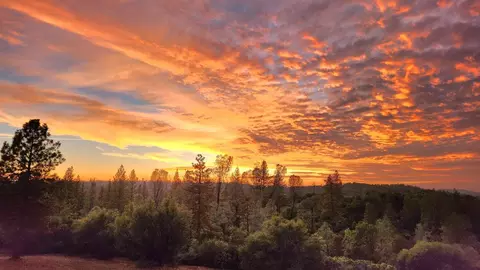 10046 Toller Ridge Ct, Nevada City, CA 95959