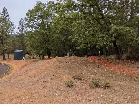 2 Eden Forest Dr, Colfax, CA 95713 photo 13