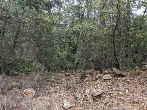 2 Eden Forest Dr, Colfax, CA 95713 photo 10