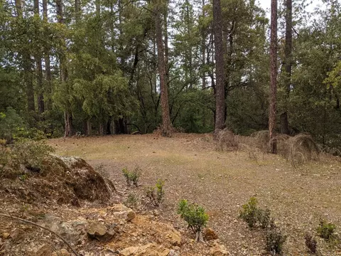 2 Eden Forest Dr, Colfax, CA 95713 photo 9