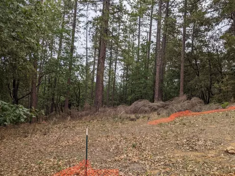 2 Eden Forest Dr, Colfax, CA 95713 photo 18