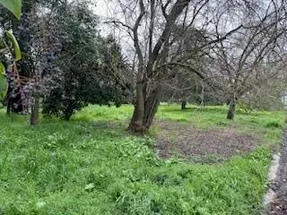 43516 Montgomery Ave, Davis, CA 95618 photo 5