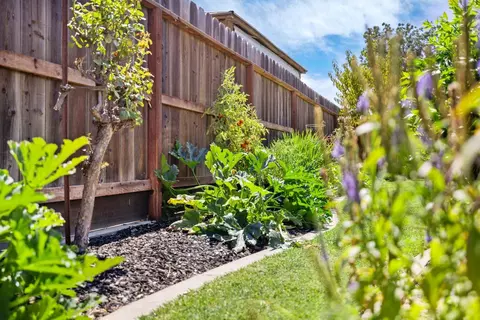 Exterior - 426 Cork Oak Way, Lodi, CA 95242 photo 15 of 18