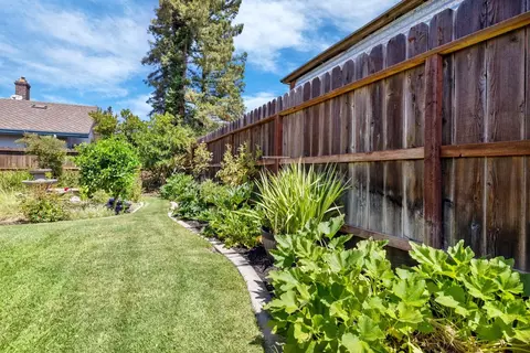Exterior - 426 Cork Oak Way, Lodi, CA 95242 photo 13 of 18