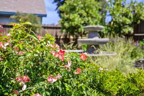 Exterior - 426 Cork Oak Way, Lodi, CA 95242 photo 14 of 18