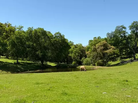 0 Airola Rd, Vallecito, CA 95251