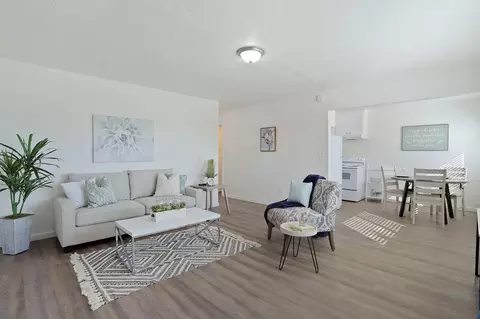 Living - 911 H St, Lathrop, CA 95330 photo 8 of 9