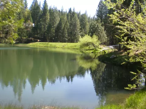 977 Meadow Dr, Arnold, CA 95223 photo 29