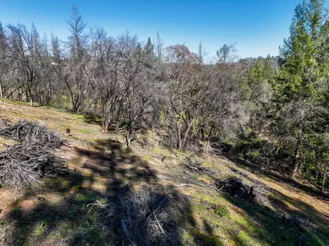 1300 Live Oak Rd, Colfax, CA 95713 photo 13