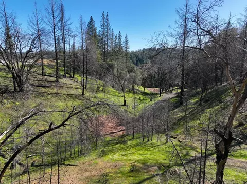 1300 Live Oak Rd, Colfax, CA 95713 photo 14