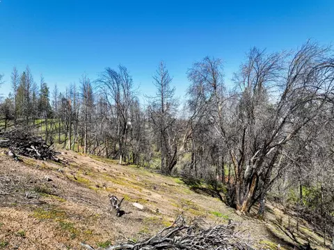1300 Live Oak Rd, Colfax, CA 95713 photo 12