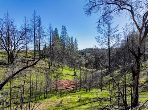 1300 Live Oak Rd, Colfax, CA 95713 photo 10