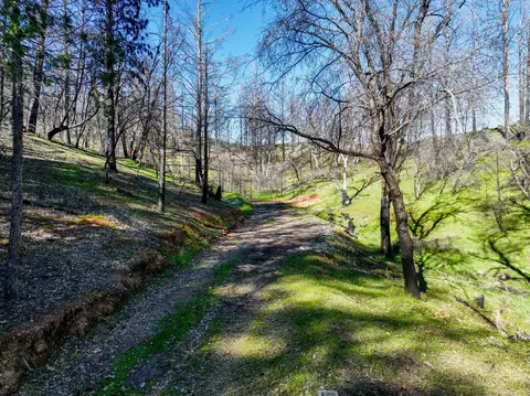 1300 Live Oak Rd, Colfax, CA 95713 photo 8