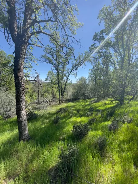 17235 Cabrera Rd, Grass Valley, CA 95949 photo 18