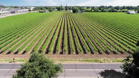 Other - 5909 E Armstrong Rd, Lodi, CA 95240 photo 13 of 13