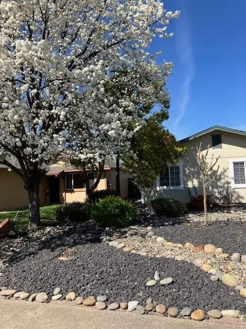 4667 Tuttle Dr, Rocklin, CA 95677 photo 5
