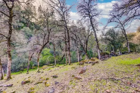12439 Kodiak Ln, Grass Valley, CA 95949 photo 69
