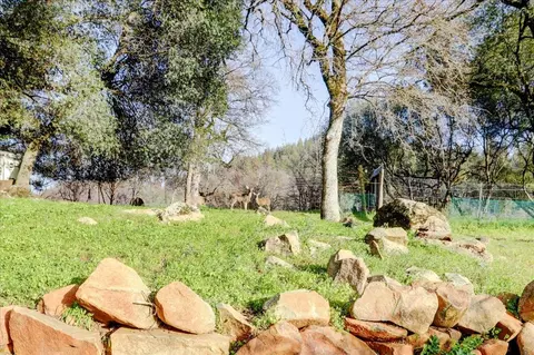 12439 Kodiak Ln, Grass Valley, CA 95949 photo 81