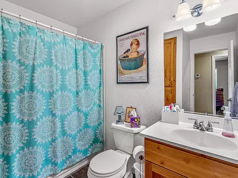 Bath - 3321 Magic Morgan Trl, Cool, CA 95614 photo 4 of 4