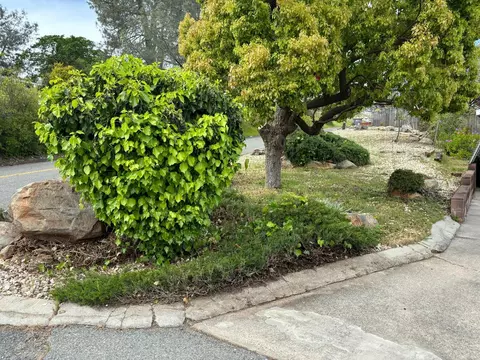81 Apache Cir, Oroville, CA 95966 photo 45