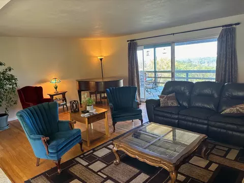 Living - 13743 Bowman Rd, Pine Grove, CA 95665 photo 2 of 12