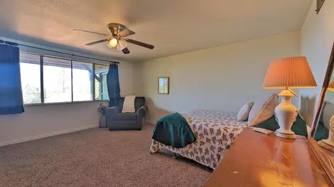 Bedroom - 13743 Bowman Rd, Pine Grove, CA 95665 photo 13 of 13